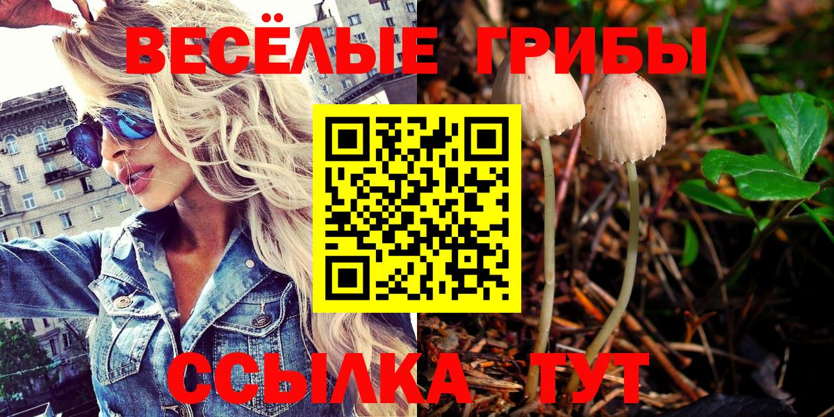 Галлюциногенные грибы мицелий  Псилоцибиновые грибы ЛСД  Красногорск  Вход с VPN 